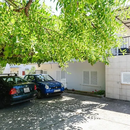 Xenia * 오레비츠